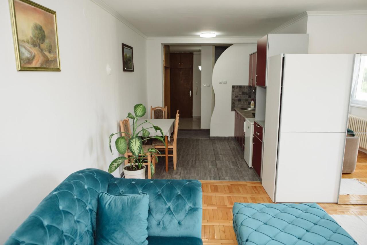 Apartman Star スボティツァ エクステリア 写真